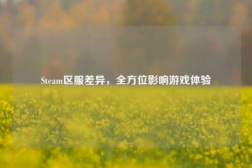 Steam区服差异,全方位影响游戏体验
