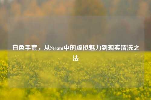 白色手套,从Steam中的虚拟魅力到现实清洗之法