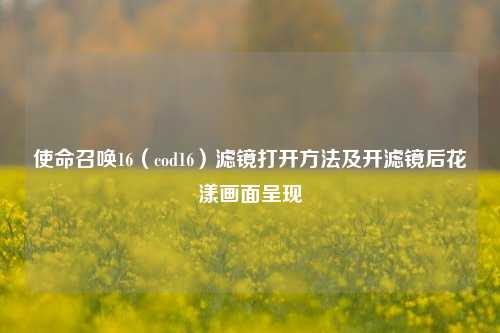 使命召唤16（cod16）滤镜打开 *** 及开滤镜后花漾画面呈现