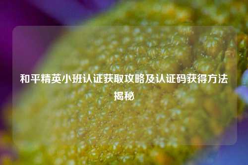 和平精英小班认证获取攻略及认证码获得 *** 揭秘