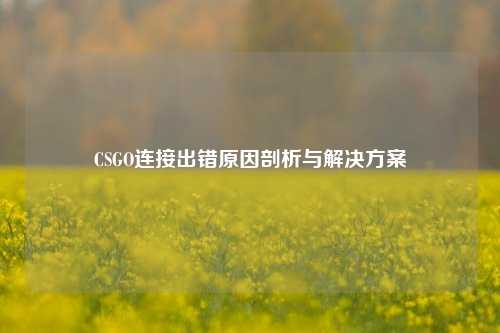 CSGO连接出错原因剖析与解决方案