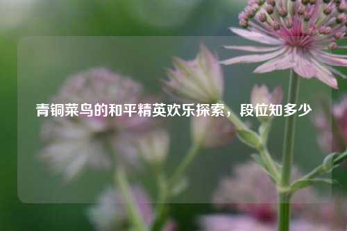 青铜菜鸟的和平精英欢乐探索，段位知多少