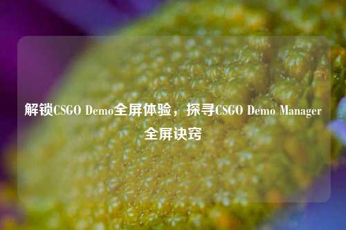 解锁CSGO Demo全屏体验,探寻CSGO Demo Manager全屏诀窍