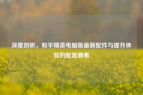 深度剖析，和平精英电脑版最新配件与提升体验的配置要素