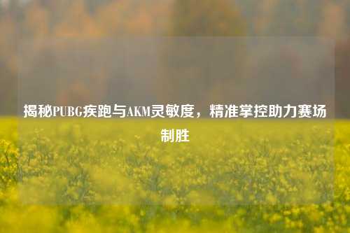 揭秘PUBG疾跑与AKM灵敏度，精准掌控助力赛场制胜