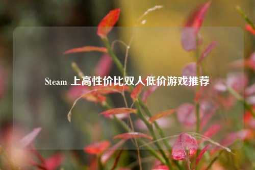 Steam 上高性价比双人低价游戏推荐