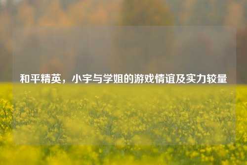 和平精英,小宇与学姐的游戏情谊及实力较量