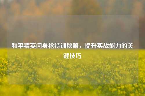 和平精英闪身枪特训秘籍,提升实战能力的关键技巧
