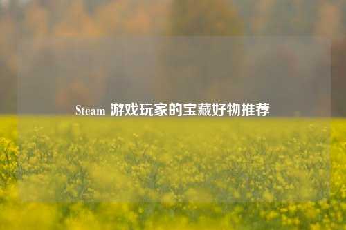 Steam 游戏玩家的宝藏好物推荐