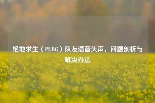 绝地求生(PUBG)队友语音失声,问题剖析与解决办法