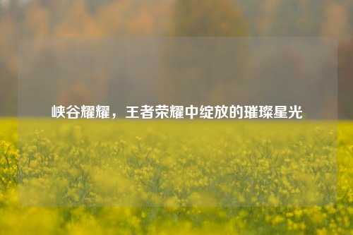 峡谷耀耀,王者荣耀中绽放的璀璨星光