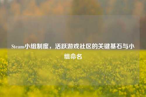Steam小组制度,活跃游戏社区的关键基石与小组命名