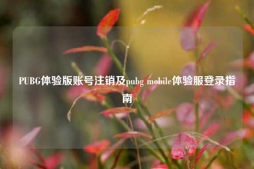PUBG体验版账号注销及pubg mobile体验服登录指南