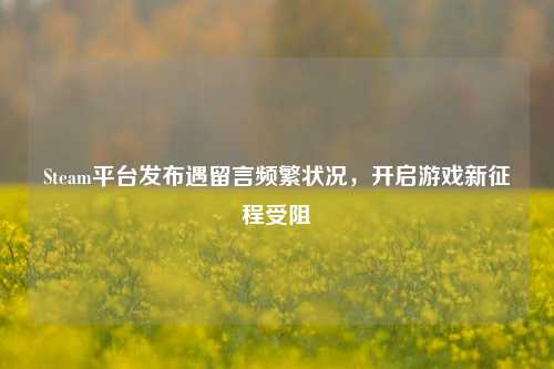 Steam平台发布遇留言频繁状况,开启游戏新征程受阻