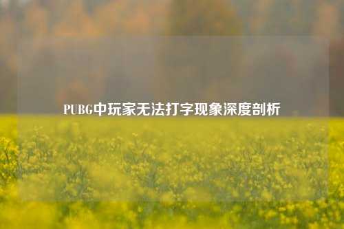 PUBG中玩家无法打字现象深度剖析