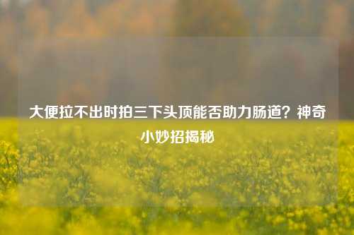 大便拉不出时拍三下头顶能否助力肠道?神奇小妙招揭秘