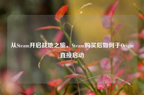 从Steam开启战地之旅,Steam购买后如何于Origin直接启动