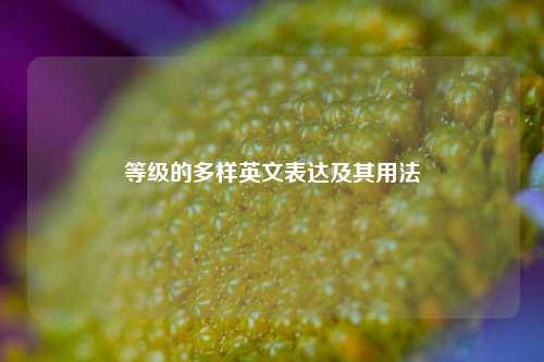 等级的多样英文表达及其用法
