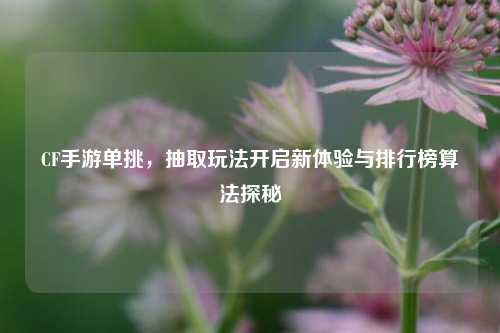 CF手游单挑,抽取玩法开启新体验与排行榜算法探秘