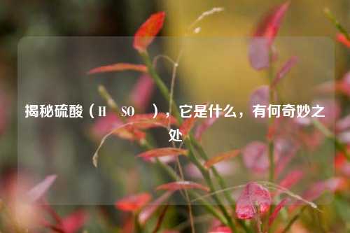 揭秘 *** (H₂SO₄),它是什么,有何奇妙之处