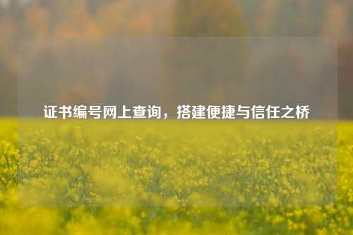 证书编号网上查询,搭建便捷与信任之桥
