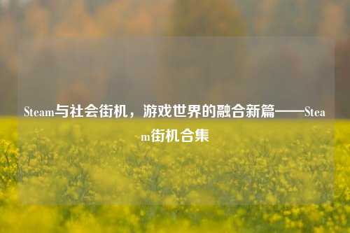 Steam与社会街机,游戏世界的融合新篇——Steam街机合集