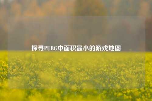 探寻PUBG中面积最小的游戏地图