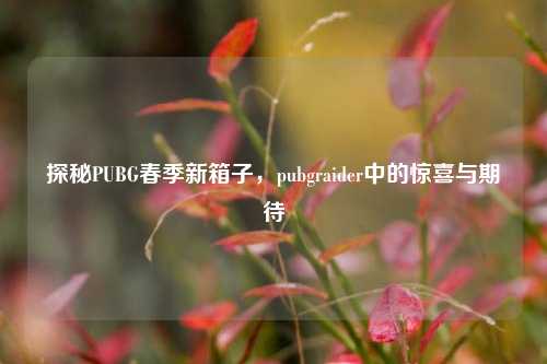 探秘PUBG春季新箱子,pubgraider中的惊喜与期待