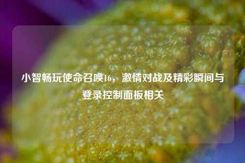 小智畅玩使命召唤16，***对战及精彩瞬间与登录控制面板相关