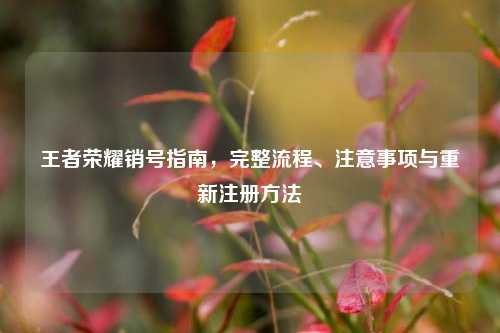 王者荣耀销号指南，完整流程、注意事项与重新注册 *** 