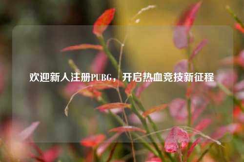 欢迎新人注册PUBG，开启热血竞技新征程