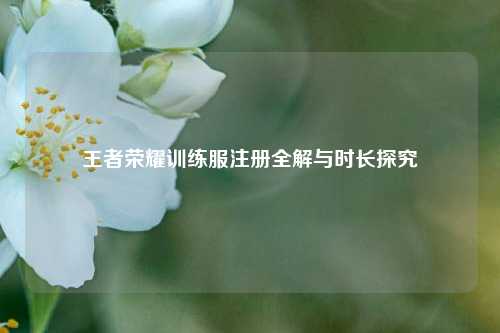 王者荣耀训练服注册全解与时长探究