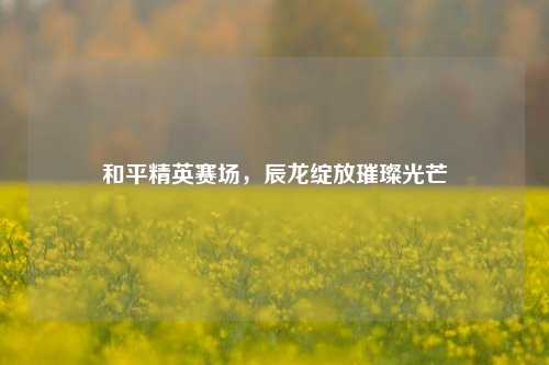 和平精英赛场,辰龙绽放璀璨光芒