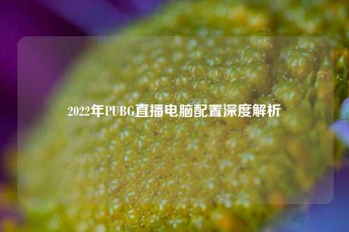 2022年PUBG直播电脑配置深度解析