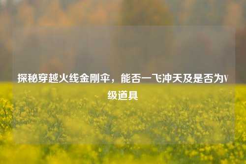 探秘穿越火线金刚伞,能否一飞冲天及是否为V级道具