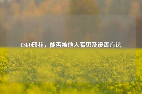 CSGO印花,能否被他人看见及设置 ***