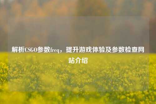 解析CSGO参数freq,提升游戏体验及参数检查网站介绍