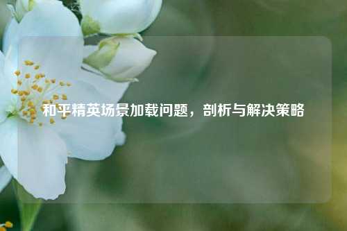和平精英场景加载问题,剖析与解决策略
