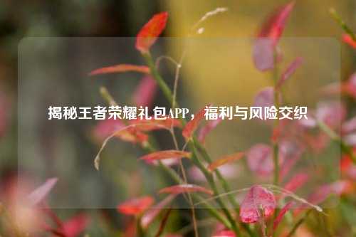 揭秘王者荣耀礼包APP,福利与风险交织