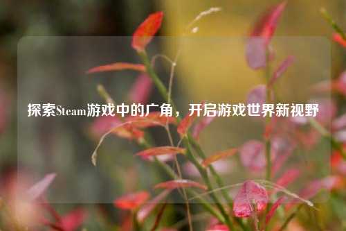 探索Steam游戏中的广角,开启游戏世界新视野