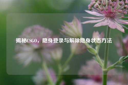 揭秘CSGO，隐身登录与解除隐身状态 *** 