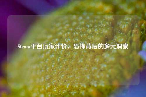 Steam平台玩家评价,恐怖背后的多元洞察