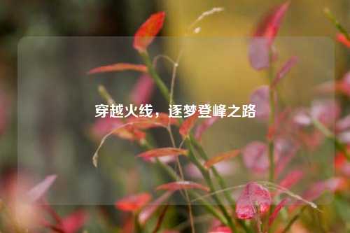 穿越火线,逐梦登峰之路