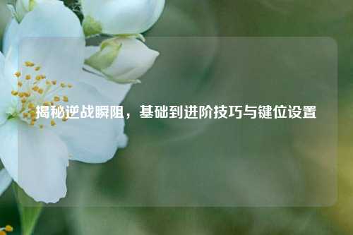 揭秘逆战瞬阻,基础到进阶技巧与键位设置