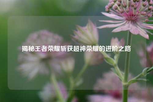 揭秘王者荣耀斩获超神荣耀的进阶之路