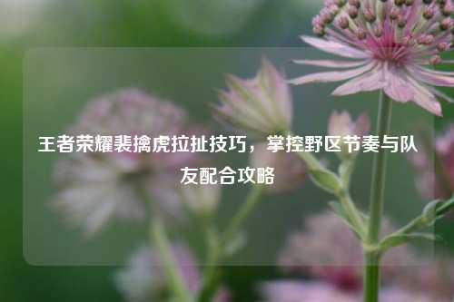 王者荣耀裴擒虎拉扯技巧,掌控野区节奏与队友配合攻略