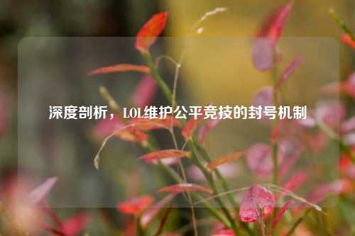 深度剖析,LOL维护公平竞技的封号机制
