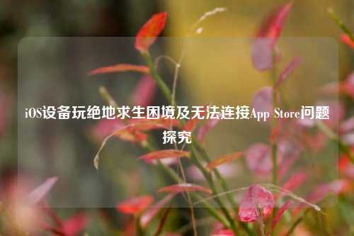 iOS设备玩绝地求生困境及无法连接App Store问题探究