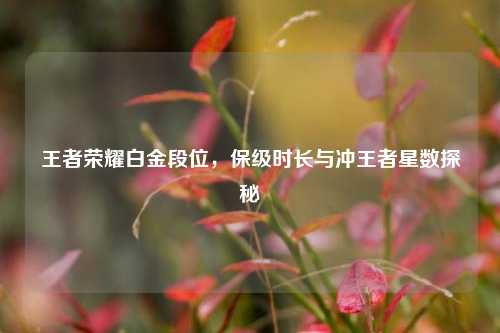 王者荣耀白金段位,保级时长与冲王者星数探秘