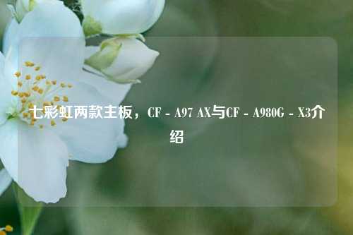 七彩虹两款主板,CF - A97 AX与CF - A980G - X3介绍